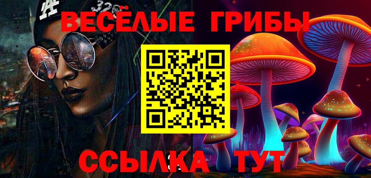 цены наркотик  Псилоцибиновые грибы прущие грибы  Волжск  Вход с VPN  Галлюциногенные грибы ЛСД 