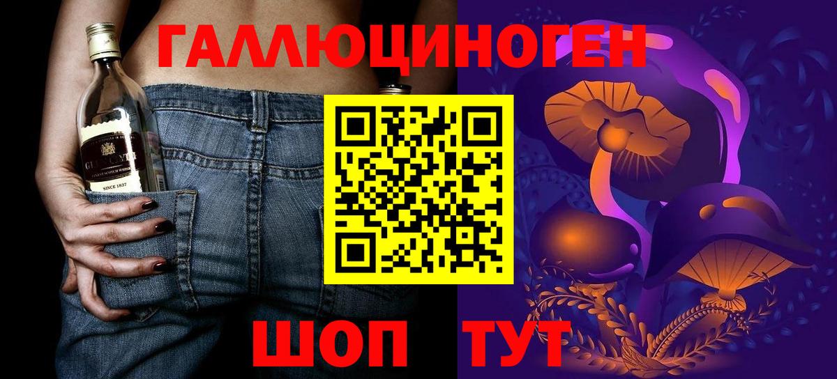 Псилоцибиновые грибы Psilocybe Волжск
